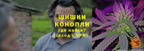 кокс Алзамай